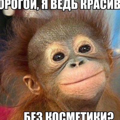 Елена Фомичева