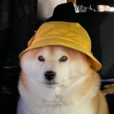 Николай Жестков