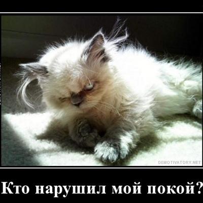 Александр Спасов