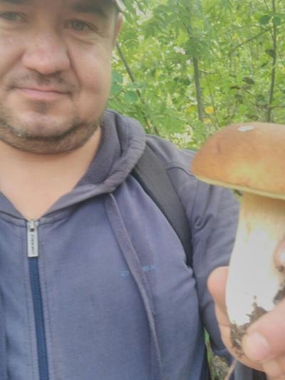 Михаил Тимофеев