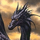 DragonROSE