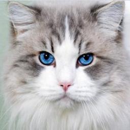 user_343395