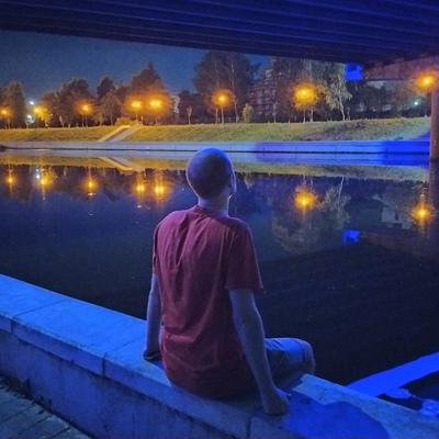 Николай Стародубцев