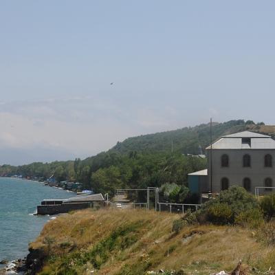 Papik Severni