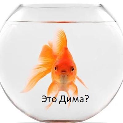 Дима Дмитриев